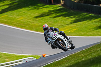 brands-hatch-photographs;brands-no-limits-trackday;cadwell-trackday-photographs;enduro-digital-images;event-digital-images;eventdigitalimages;no-limits-trackdays;peter-wileman-photography;racing-digital-images;trackday-digital-images;trackday-photos